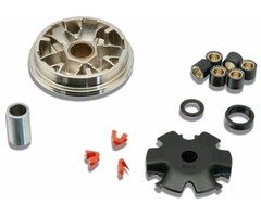 variokit malossi zoomer 5111852