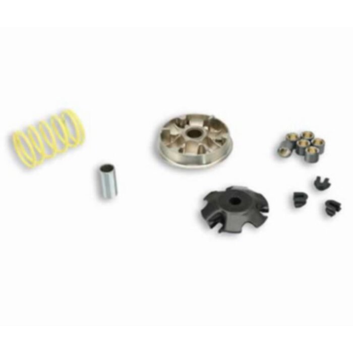 variokit malossi 100cc elyseo, speedfight, tkr, viva 5111558