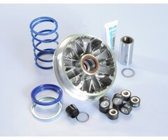 variokit polini majesty 400cc, x-max 400cc 241.693