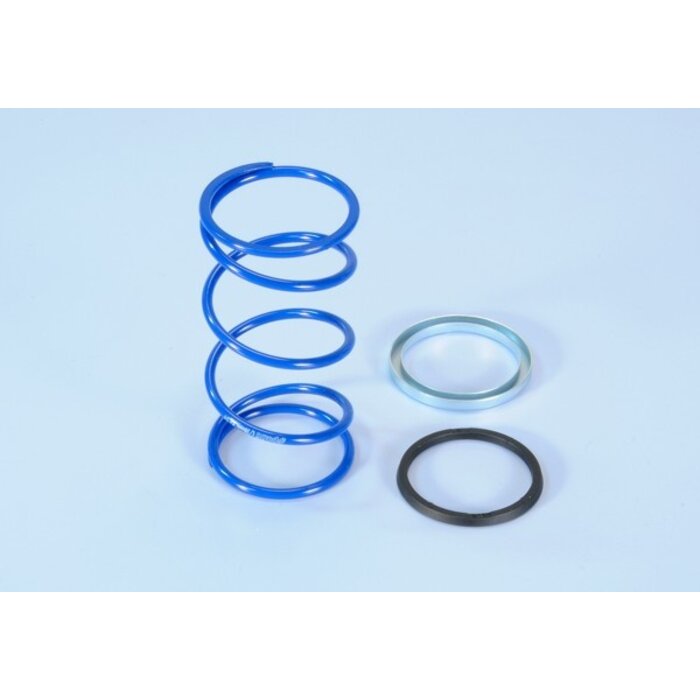 koppelingdrukveer polini set + 87% evo slider 3.8 minarelli 243.104