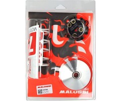 variokit malossi euro-2/4 people, super-8, symply, sco kymco 4t 5113790