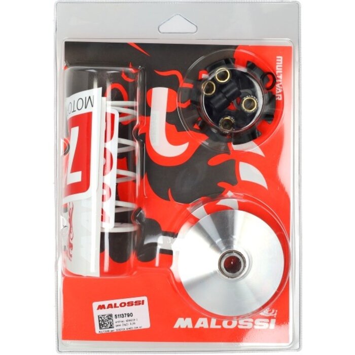 variokit malossi euro-2/4 people, super-8, symply, sco kymco 4t 5113790