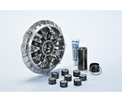 variokit polini euro-4 euro-5 vanaf 2017 t-max530, t-max560 241.735