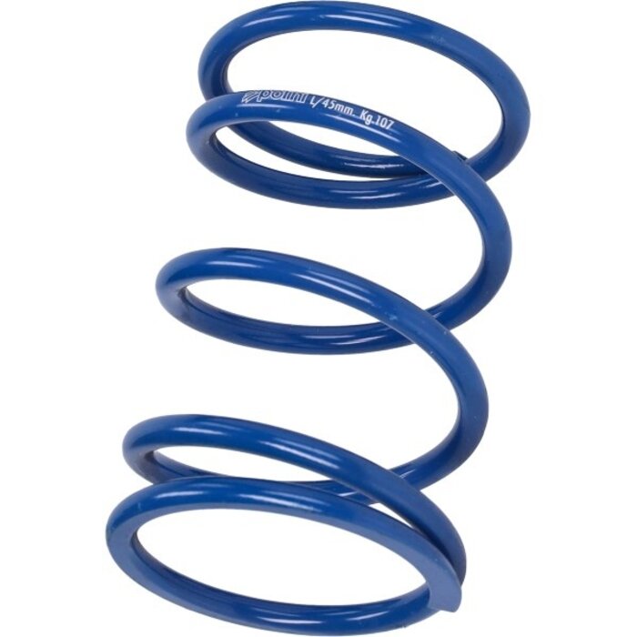 koppelingdrukveer polini euro-5 adv350, sh350 243.111