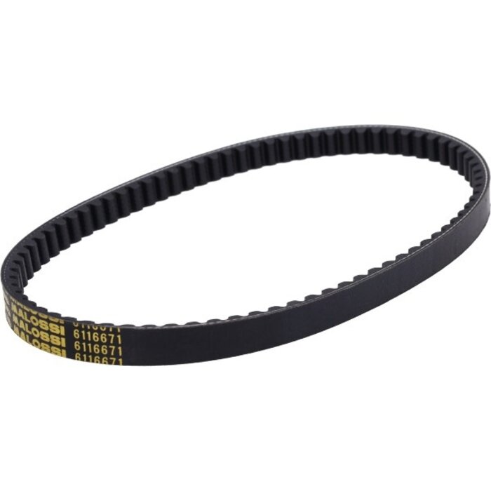 v-snaar malossi 776x19 honda nsc50r, vision 4t 2012 6116671