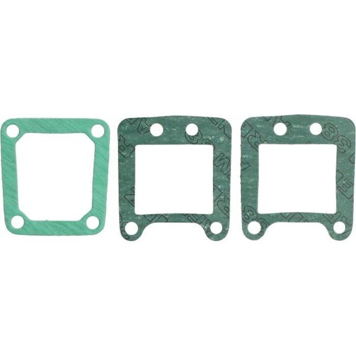 pakking malossi spruitstuk 103, 103spx, 104, 105 115252