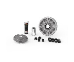 variokit malossi euro-4/5 tricity x-max 300 5117861