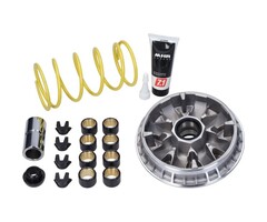 variokit malossi euro-5 mp3 530 HPE 5119793