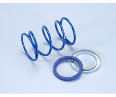 koppelingdrukveer polini set evo slider + 15% 4.5 primavera 4t iget, sco piaggio, sco piaggio 2t, sco piaggio 4T, sprint 4t-3v 243.102