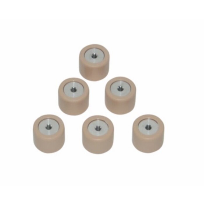 variorolset Piaggio origineel 19x15.5mm 7,5 gram fly 2t, lx 2t, lxv 2t, nrg, runner, typhoon, vespa S 2t, zip2000 cm1102015