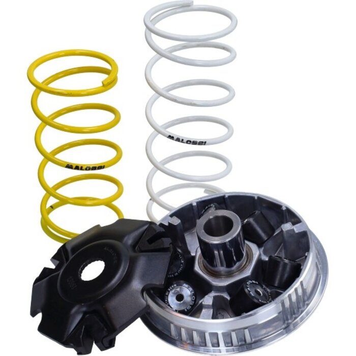 variokit malossi euro 3/4/5 liberty 125cc, primavera 125 4t, sprint 125 4t 5116674