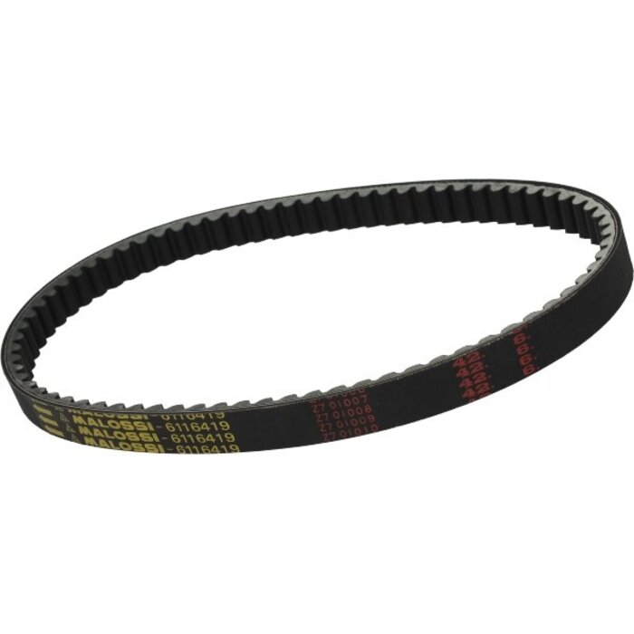 v-snaar malossi 796x22 yamaha 6116419