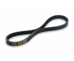 v-snaar malossi kevlar 785x19.9 liberty 125cc 4t, primavera 125 4t, sprint 125 4t, sprint 150 4t 6116148