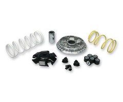 variokit malossi euro 3/4/5 2013> forza, pcx 125 ie, sh 125/150 5119875