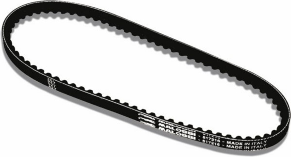 v-snaar malossi 838x18 Honda sh50 x8r 619221