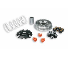 variokit malossi euro-3/4/5 vanaf 2012 primavera 150 4t, sprint 150 4t, fly 125cc, lx 125cc 5115639