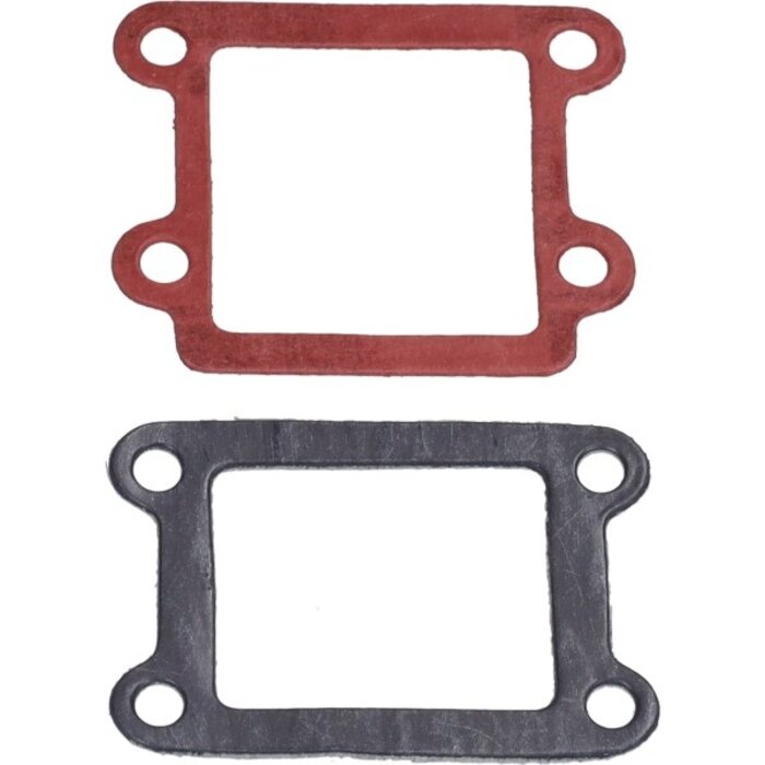 membraanpakking polini minarelli vert 209.0400