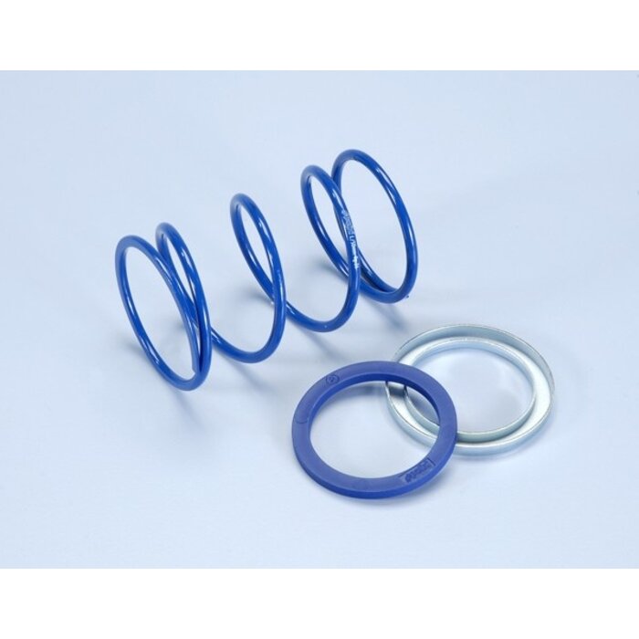 koppelingdrukveer polini set evo slider + 8% 4.4 primavera 4t iget, sco piaggio, sco piaggio 2t, sco piaggio 4T, sprint 4t-3v 243.101