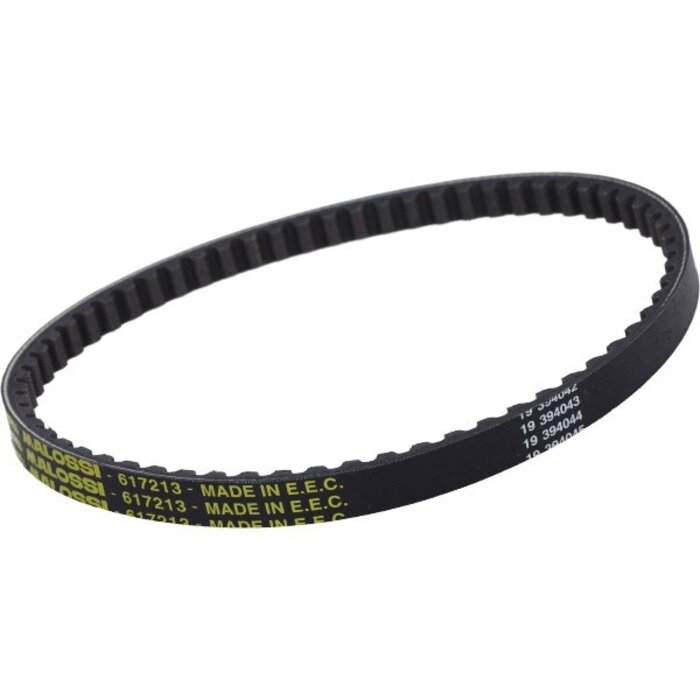 v-snaar malossi 642x15.3 rapido, vision met-in 617213