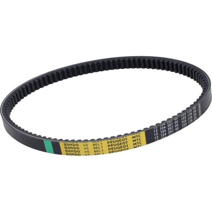 v-snaar Peugeot origineel 723x17.5 12inch django, kisbee 4t 793204