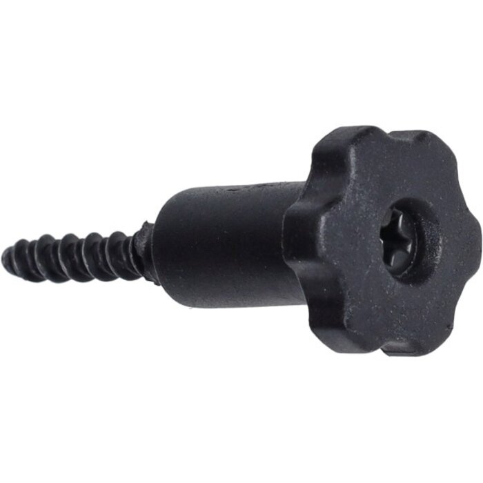 schroef Piaggio origineel wartel luchtfilter primavera, sprint b018162