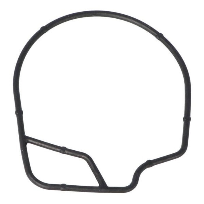 pakking vlotterbak dellorto phva