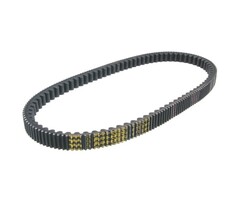 v-snaar malossi 955x22.6 euro 3 geopolis, sportcity 300cc, beverly 300cc 6116069