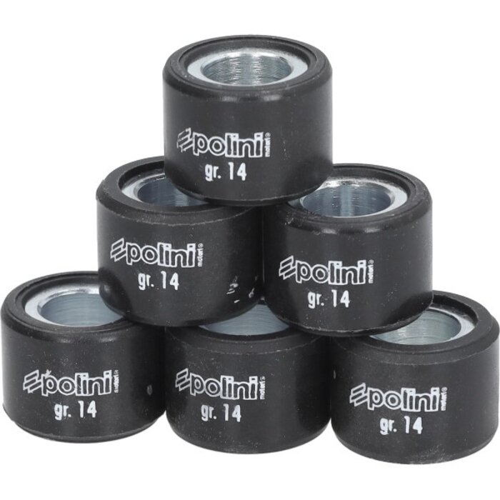 variorolset polini 13.8gr euro-4/5/5+ 20x15 primavera 125 4t, sprint 125 4t 242.433