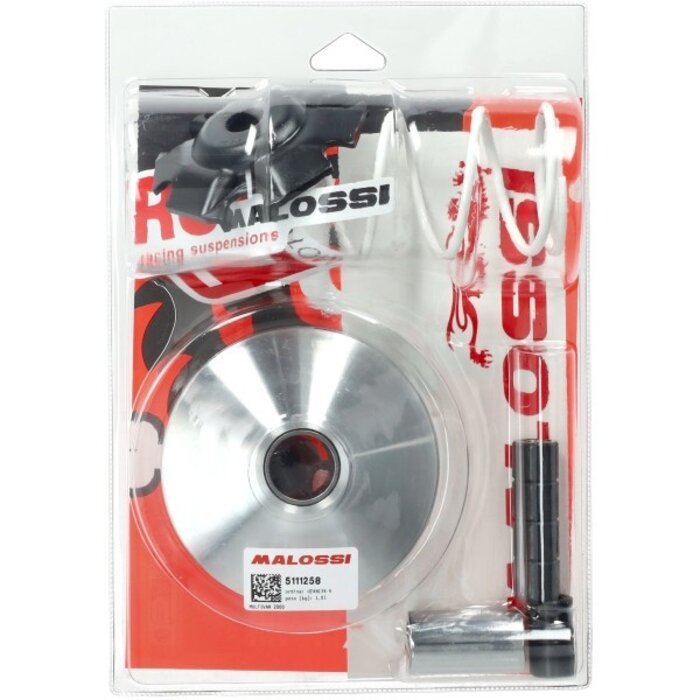 variokit malossi 2t runner 125cc, runner 180cc, typhoon 125cc 5111258