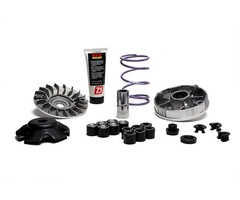 variokit malossi + koelvin aluminium mhr team 2 sco piaggio 2t 5118238