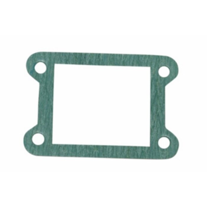 membraanpakking groot gat minarelli am6