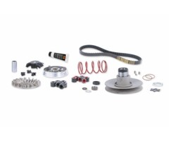 overrange systeem malossi minarelli hor+vert 6112811