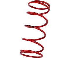 koppelingdrukveer malossi rood agility 125, centro sl 160cc 4t, lx 125cc, people 200cc, sh 125/150, sprint, sprint 125 4t 2915465.ro