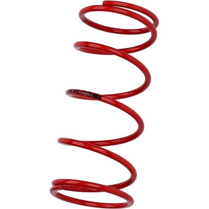 koppelingdrukveer malossi rood agility 125, centro sl 160cc 4t, lx 125cc, people 200cc, sh 125/150, sprint, sprint 125 4t 2915465.ro