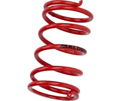 koppelingdrukveer malossi 4.1 rood 296955.r0