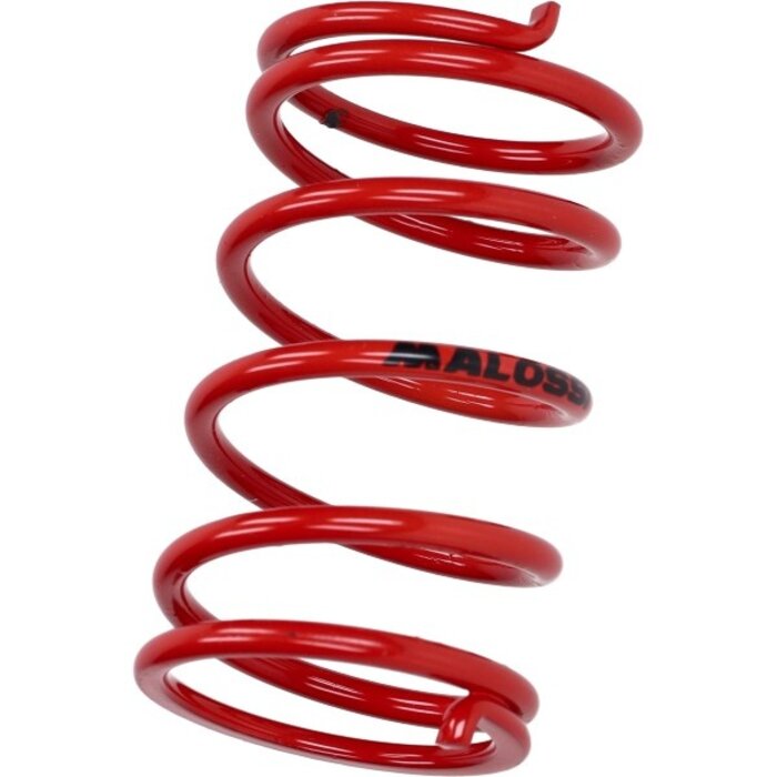 koppelingdrukveer malossi 4.1 rood 296955.r0