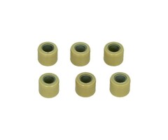 variorolset Kymco origineel 8.5gr 16x13mm sco gy6 22121-glw0-901