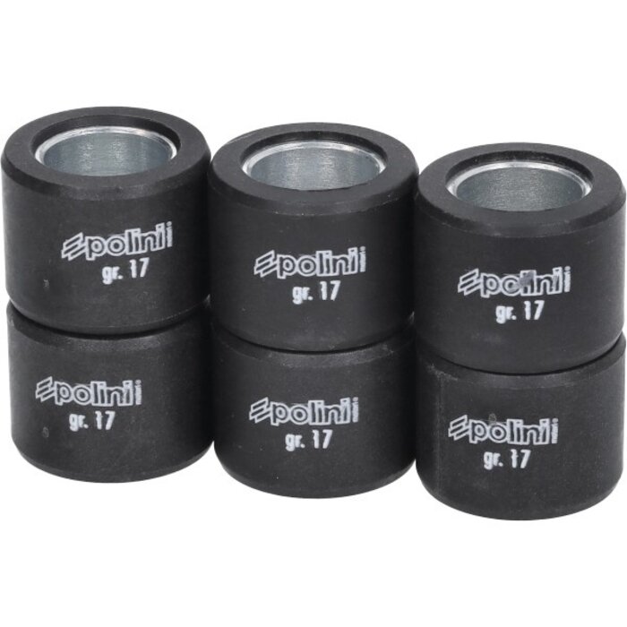 variorolset polini 17.0gr 23x18mm sh300, xciting 250, x-max 250cc, x-max 300, agility 300cc 242.300