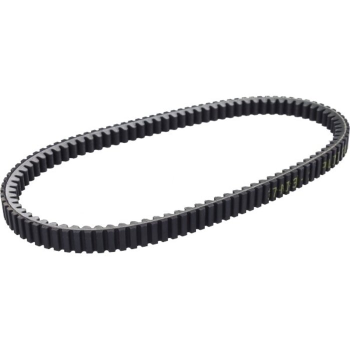 v-snaar polini euro-3 beverly 250cc, beverly 300cc 248.066