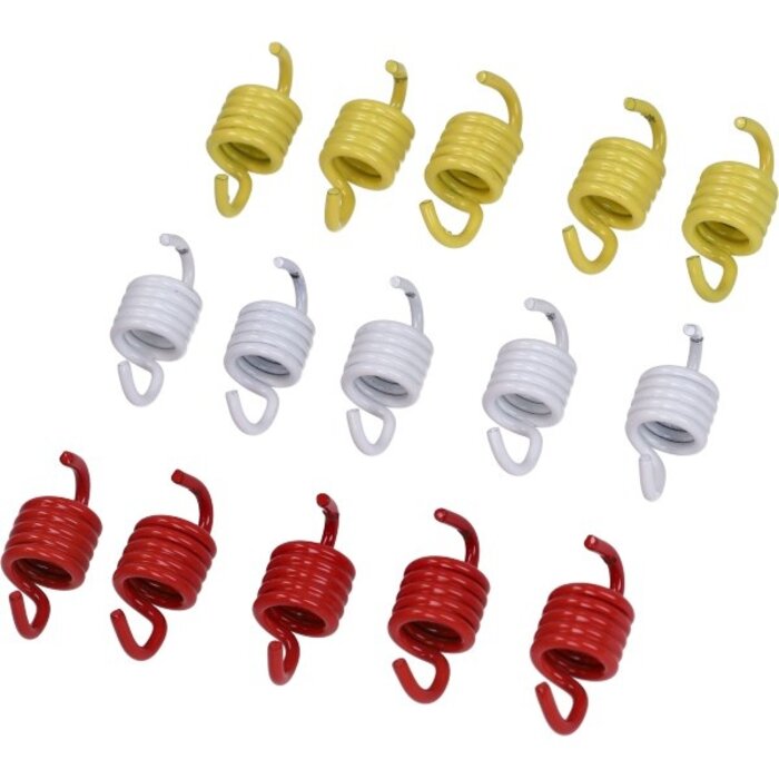 trekveer malossi set koppeling 15-delig burgman 400cc, xciting 400 2912553