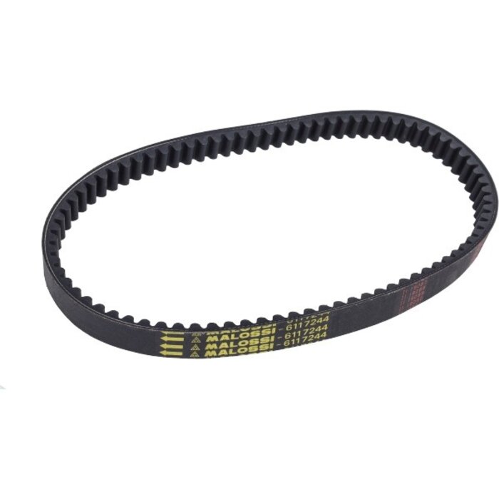 v-snaar malossi 902x25.5 X Special n-max 155 6117244