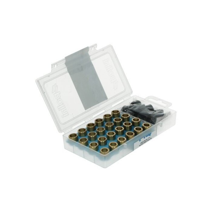 variorolset polini 4.5/5/5.5/6 gram 16x13mm 24pcs sco gy6, sco piaggio ot 242.412