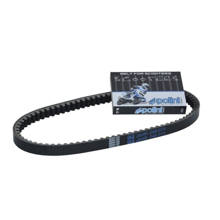 v-snaar polini 768x17.5 buxy, speedake, speedfight, viva 248.014