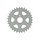 achterkettingwiel 31t funtastic, youngst'r