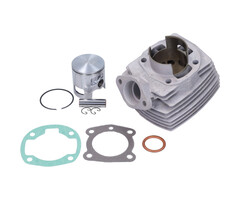 cilinder polini Peugeot 46mm 103, 103spx, 104, 105, wallaroo 142.0088=op=op