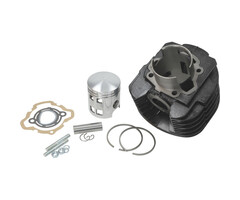 cilinder met kop dr evolution ape car 220cc 2 takt 69mm ape