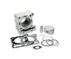 cilinder malossi 4-kleps 67mm dragster, italjet 3115326