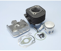 cilinder met kop polini racing 47mm minarelli hor ac 166.0076/r