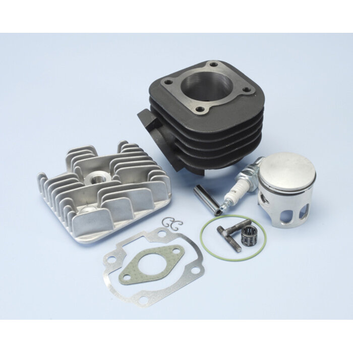 cilinder met kop polini racing 47mm minarelli hor ac 166.0076/r