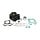 cilinder polini euro-2 gietijzer (80cc) 49mm-p13 sco piaggio 4t-2v 140.0202
